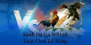 Hướng Dẫn Cách Chơi Đá Gà Ws168 Tại AX88 Đơn Giản Thắng Lớn Nhất
