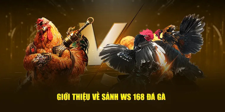 Hướng Dẫn Cách Chơi Đá Gà Ws168 Tại AX88 Đơn Giản Thắng Lớn Nhất 2 Hướng Dẫn Cách Chơi Đá Gà Ws168 Tại AX88 Đơn Giản Thắng Lớn Nhất