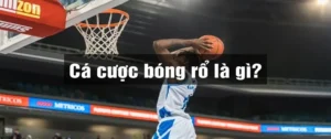 Đăng Ký Cá Cược Bóng Rổ AX88 Nhận Ngay Ưu Đãi Khủng Hôm Nay